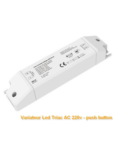 Variateur de lumière 0-100% AC 220V-12V 12W