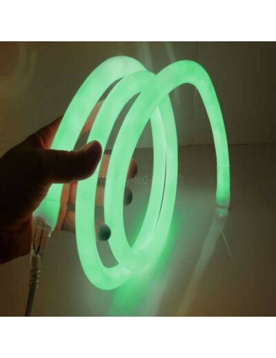 Neon led flexible 360° 16mm 12V