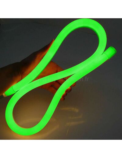 Néon led flexible 180° 14*26mm 220v