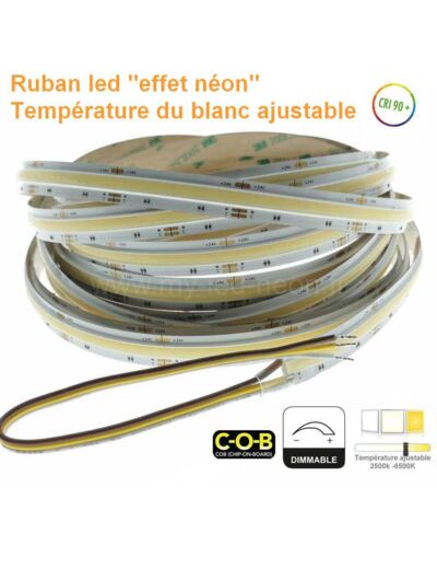 Ruban led COB effet néon CCT blanc ajustable 24V